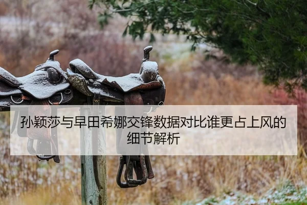 孙颖莎与早田希娜交锋数据对比谁更占上风的细节解析